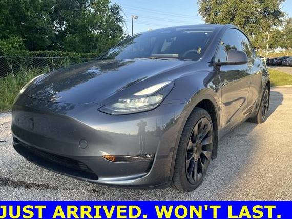 TESLA MODEL Y 2023 7SAYGDEE9PF747105 image